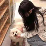 明星恋爱日记游戏下载